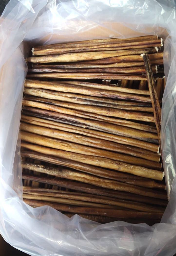 Natural Bully Stick Pizzle 